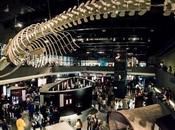 Combate blue monday planes viajes familia