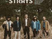 Clay Strays Devil (2024)