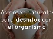 detox naturales para desintoxicar organismo