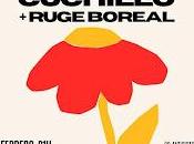 Mono Cuchillo Ruge Boreal perro parte atrás coche