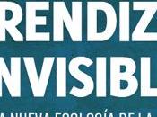 Aprendizaje invisible: hacia nueva ecología educación