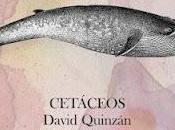 David quinzán cetáceos