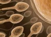 Causas infertilidad masculina
