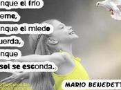 rindas, favor cedas, aunque frío queme, miedo muerda, esconda.