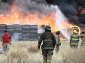 Soledad Graciano Sánchez colabora extinción incendio fábrica tarimas