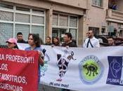 Veterinarios marchan para exigir respeto labor denunciar violencia contra