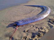 Otro profundidades aparece, ahora México