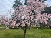 Breve historia parque almendros Madrid