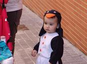 Piojo-Pingüino.-