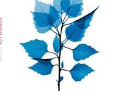 Matt Berninger Bonnet pins (2025)