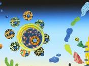 Hiromi's Sonicwonder Sonicwonderland (2023)