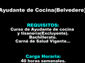 Ayudante Cocina(Belvedere)