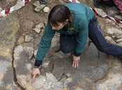 Descubren nuevos fósiles reptil volador yacimiento Pozo Castellar (Teruel)