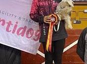 Campeonato España Junior Agility