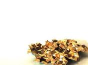 Discipline Shatter Accord (2011)