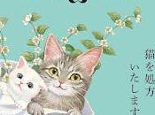 Reseña receto gato Syou Ishida