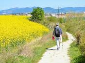 Conversaciones autobús.