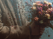 inconsistencia cosas