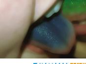 Freezepop freezepop forever