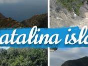 Explora Catalina Island pie: descubre Hermit Gulch Trail desde Avalon California