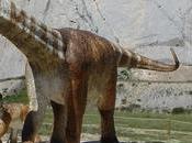 titanosaurios Fumanya dinosaurios habitaron Pirineos Berguedà