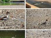 tarro blanco Parc Fluvial Besòs