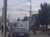 Persona vida Prados Vicente Sección