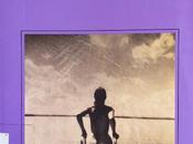 Plataforma, Michel Houellebecq