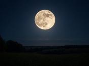 importancia humanidades medicina ciencias salud. Importance Humanities Medicine Health Sciences. 人文学科在医学与健康科学中的重要性