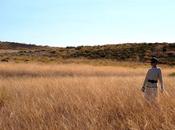 Blogssipgirl: reflexiones pensamientos. energía roja.