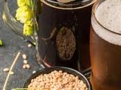 Cerveza gluten, todo debes saber