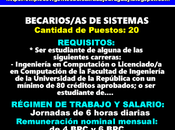 Becarios-as sistemas
