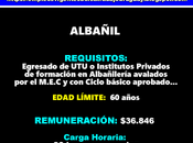 Albañil
