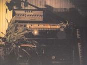 penaguin: beginnings (2025)