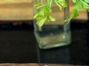 Cinta Lomo Rellena Horno byJose