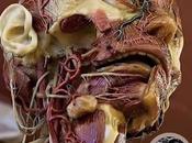 rostro complejidad humana.