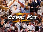 Cobra (Temporada final)