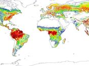 Mapa bosques Tierra