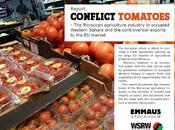 207. Tomates conflictivos