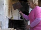 Fiebre, España 2011