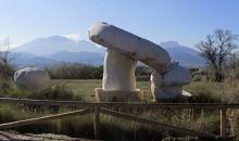 setas Priego Córdoba