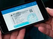 Neuquén lanza Licencia Digital para conductores profesionales: cómo tramitarla