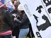 CARMESI posiciona Piedra Águila para continuidad