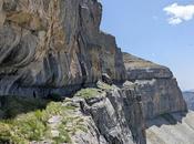 Faja Flores Clavijas Salarons Cotatuero