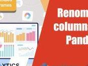 ¡Nuevo video canal! Renombra columnas como Pandas