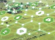 Simular para transformar: cómo gemelos digitales reinventan sostenibilidad