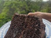 Tarta chocolate irresistible