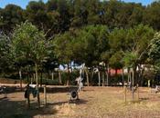 Viladecans, perteneciente provincia española Barcelona, Ciudad Verde Europea 2025