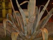 Atardecer ciudades, entre poesía, nostalgia explicación científica.