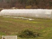 funcionalidad invernadero durante invierno.